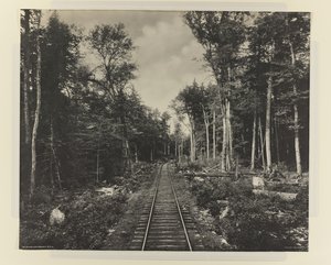 Ganoga Lake Branch, L.V.R.R., ca. 1899 (platinatrykk)
