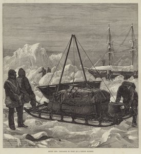Arctic Life, forbereder seg på å starte på en sledereise