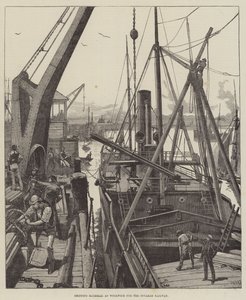 Fraktmateriell hos Woolwich for Souakim Railway