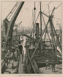 Fraktmateriell hos Woolwich for Souakim Railway (gravering) av William Heysham Overend