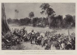 Benin-ekspedisjonen