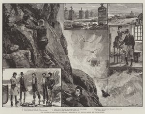 Nøden i Vest-Irland av William Heysham Overend
