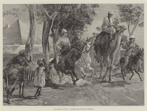 Sesongen i Egypt, et galopphjem fra pyramidene