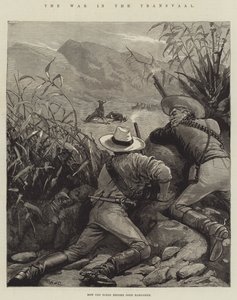 Krigen i Transvaal