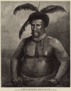 Zulu-krigen i Sør-Afrika, Cetewayo, Zulu-kongen