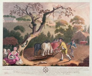 Utsikt over pløying, såing av linfrø og harving, 1791