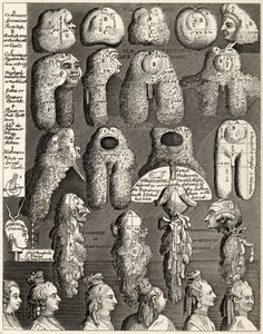The Five Orders of Perriwigs, fra 