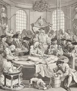 Grusomhetens belønning. Fra: Grusomhetens fire stadier / Grusomhetens fire stadier. 1751 av William Hogarth