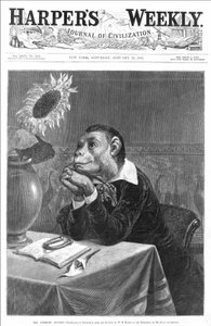 Cover of “” Harper