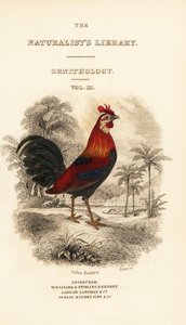 Tittelblad med vignett av rød junglefugl (Javan), Gallus gallus bankiva av William Home Lizars
