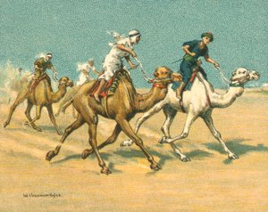 Races Historic and Modern, Camel Races (chromolitho)