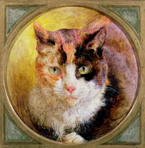 En hodestudie av en skilpaddekatt, 1866