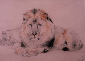 Løve og Løvinne av William Huggins