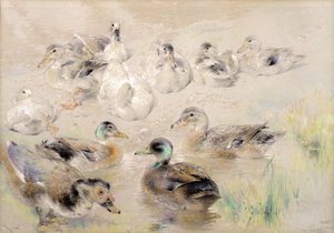 Studie av ender av William Huggins