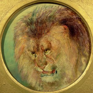 Studie av en løve av William Huggins