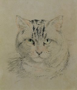 Tabby Cat, 1874 (blyant, fargestift og kull på papir)