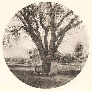  av William J. Stillman