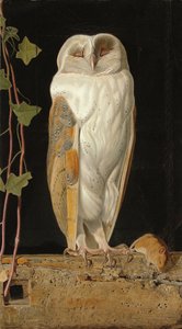 Den hvite uglen: "Alene og varmer sine fem vetter, sitter den hvite uglen i klokketårnet", 1856 av William J. Webbe