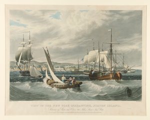 Utsikt over New York Quarantine, Staten Island. av William James Bennett