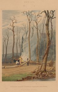 Våren - brennende falne trær i en omgitt lysning. Vestlig scene av William James Bennett after George Harvey