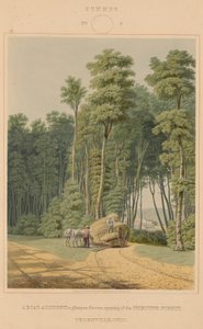 Sommer - en trafikkulykke. Et glimt gjennom en åpning av Primitive Forest. Thornville, Ohio av William James Bennett after George Harvey