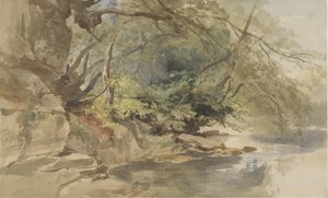 Ansikt i Stapleton Wood, nær Bristol av William James Muller