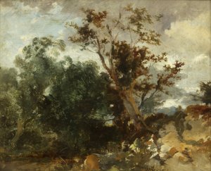 Study of Trees, ca. 1840 (olje på kobber) av William James Muller