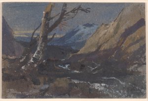 Studie av trær ved en fjellbekk av William James Muller