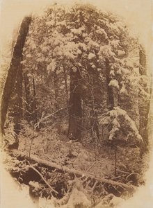 Uten tittel Woods in Snow, 1859.