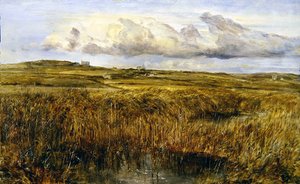 Rhoscolyn, Anglesey (olje om bord)