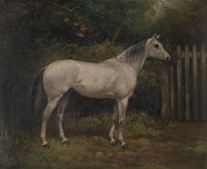 Pickles: en Basuto-ponni, ca. 1904 (olje på lerret) av William Josiah Redworth