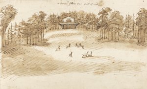 Deer Park (penn og blekk med vask på papir)