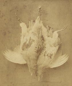  av William Lake Price