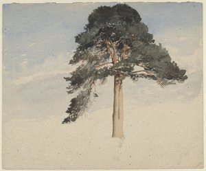 Skotsk furutre av William Leighton Leitch