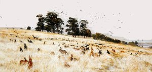A Rookery, ca. 1889 (olje på lerret) av William Lionel Wyllie