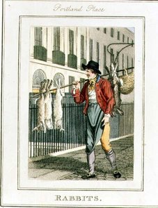 Rabbits, Portland Place, fra "Cries of London", pub. av Richard Phillips (1778-1851) 1804 (gravering)