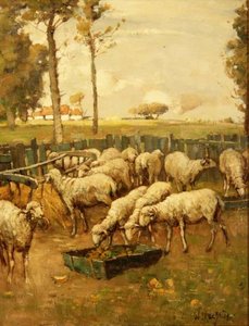 Sauefolden av William McBride