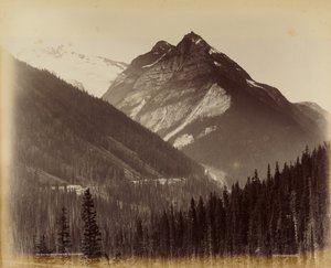  av William McFarlane Notman