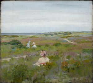 Landskap: Shinnecock, Long Island