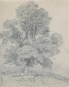  av William Mulready