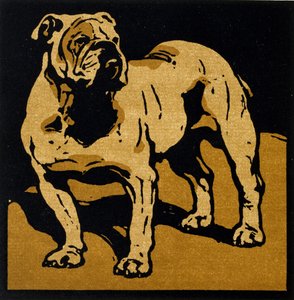 The British Bull-Dog, fra 