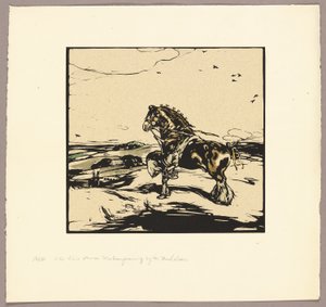  av William Nicholson