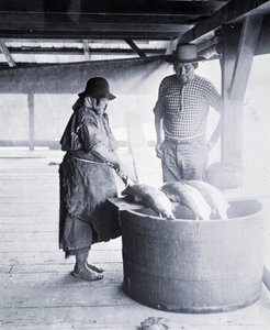 Indian Salmon Cleaner, nær New Westminster, British Columbia (provinsen Canada)