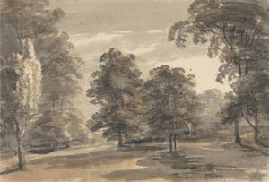 A Glade in a Wood av William Pars