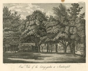 Østutsikt over hyttehagen ved Strawberry Hill, Twickenham, London