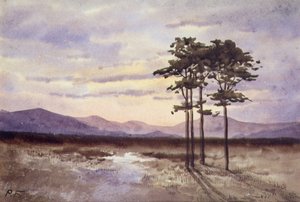 Sunset, County Sligo (akvarell på papir) av William Percy French