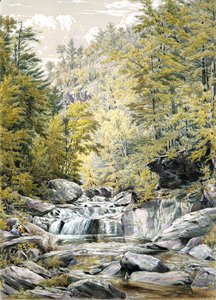 Catskill Clove, 1856.