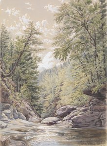 Catskill Clove i Palingsville, 1856.