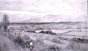 Innhøstingsscene