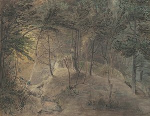 The View from the Springhouse at Echo, ca. 1808 (akvarell og blekk på vevd papir)